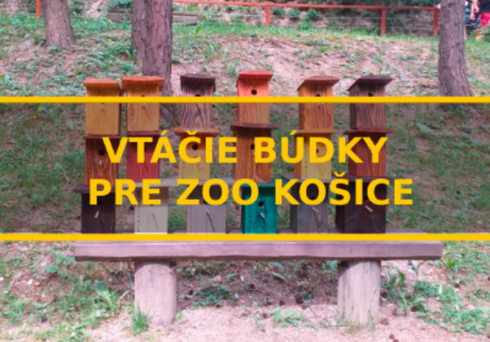 Vtáčie búdky pre ZOO Košice